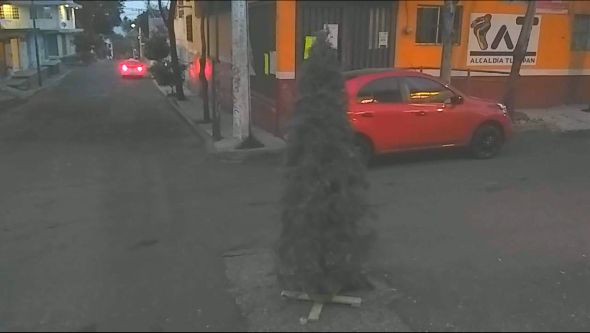 En la calle de Lirios esquina con Azucenas vecinos de la zona decidieron colocar un árbol de navidad para evitar que alguien caiga en el registro sin tapa