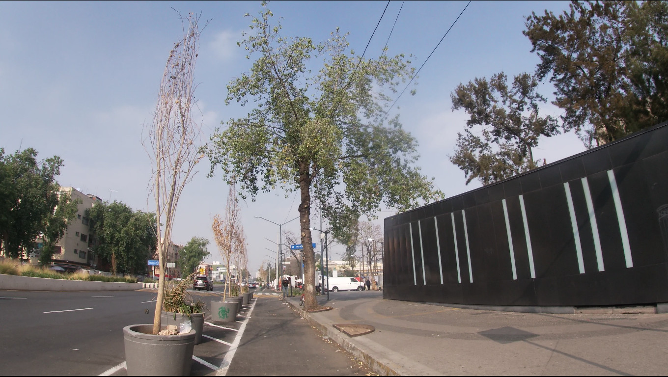 Una noticia buena: Claudia Sheinbaum  plantó árboles en la Avenida Puente de Alvarado. Una noticia mala: a Claudia Sheinbaum se le olvidó regar los árboles y ya se le murieron...