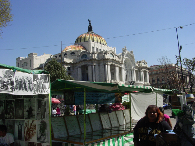 El palacio de Bellas Artes 2012