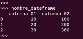 Al escribir el nombre del dataframe en la línea de comandos y presionar la tecla enter, aparecerá un resúmen de nuestro dataframe