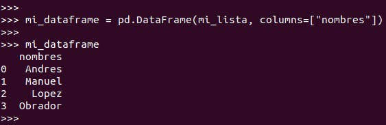 usando el parametro columns para bautizar una columna