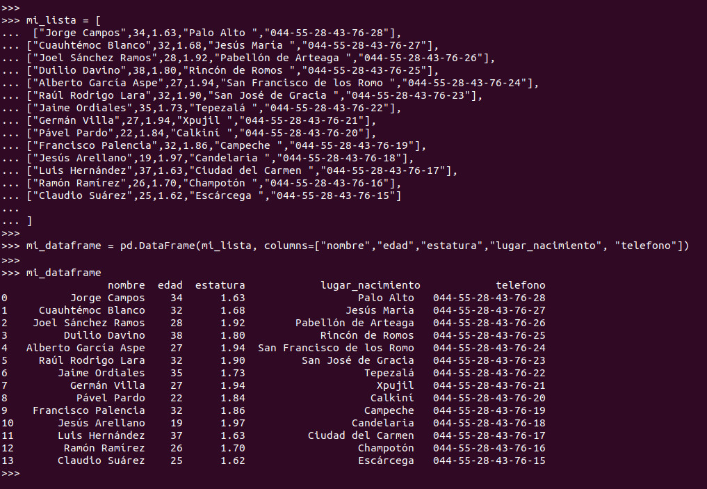 creando un dataframe a partir de una list multidimensional