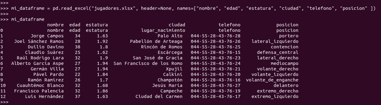 Python pandas: rebautizar el nombre de las columnas