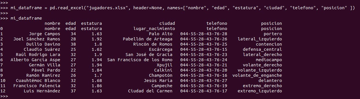 Python pandas: rebautizar el nombre de las columnas