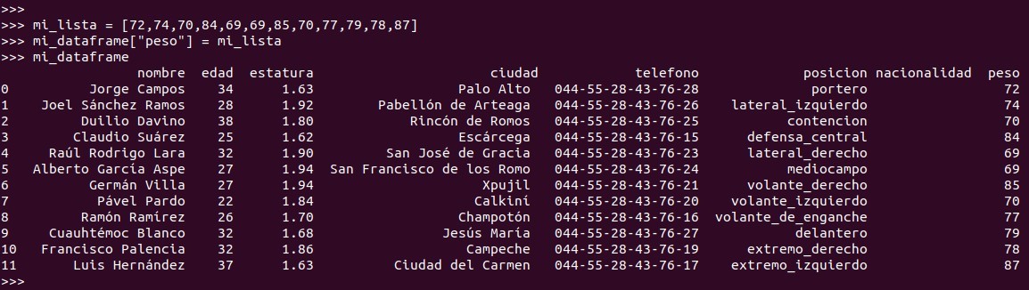 Python pandas: Ahora agregaremos la columna peso y usaremos una list  para alimentar los datos de esa columna