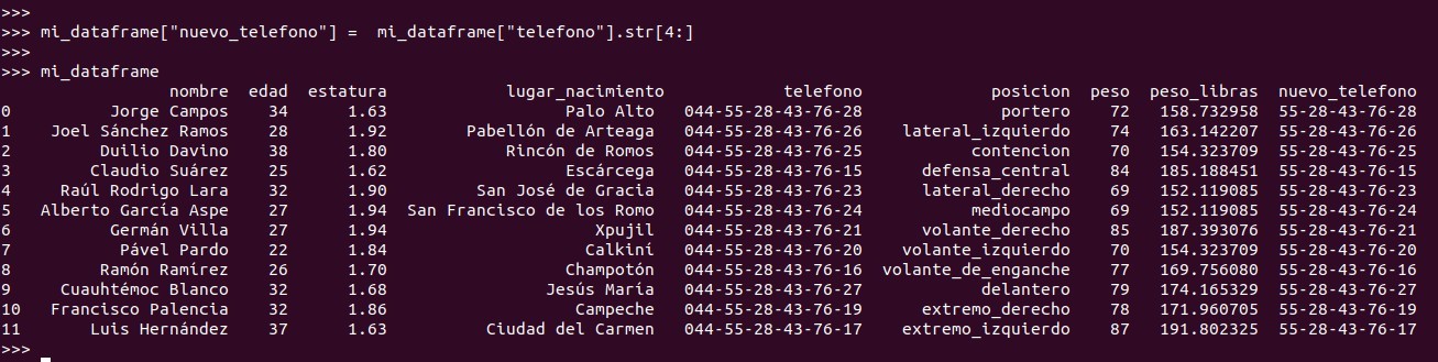 Python pandas: agregar una columna que se alimente a partir de datos en el propio dataframe